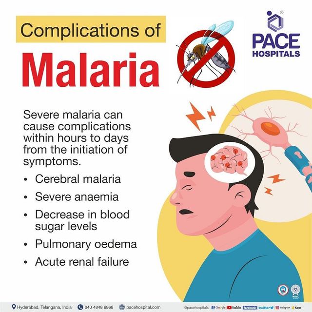 Malaria: Causes, Symptoms, Treatment, and Prevention