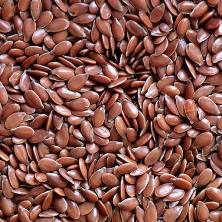 Flaxseed: The Tiny Seed Packed with Big Health Power
